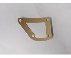 Water pump gasket