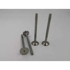 Exhaust valves for 1725