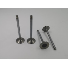 Inlet valves for late 1592