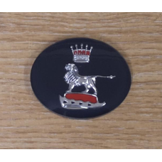Grill centre badge insert
