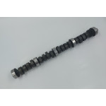Camshaft for Tiger