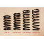 Front springs - up-rated Alpine (pair)